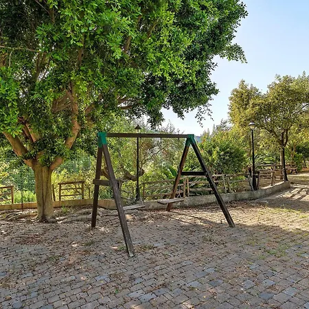 La Grande Quercia, Cilento *